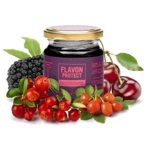 Flavon Protect gyümölcskoncentrátum